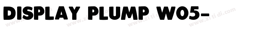Display Plump W05字体转换